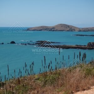 Turquoise inlet and low headlands. Stanage Bay, Australia.