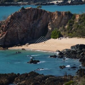 Rocky coastal cliffs above clear sea. Stanage Bay, Australia.