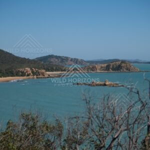 Wide coastal view with shrubs in foreground. Stanage Bay, Australia.