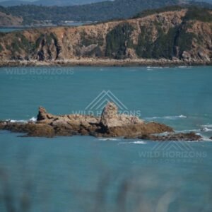 Offshore rocks beneath clear sky. Stanage Bay, Australia.