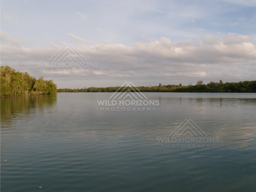 Wide calm river with forested banks under an overcast sky. Jardine River, Queensland, Australia.