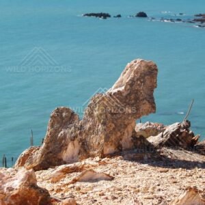 Weathered rock pinnacles above clear blue sea. Cape York Region, Australia.