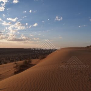 Dune ridge leading into a wide desert plain. Simpson Desert, Australia.