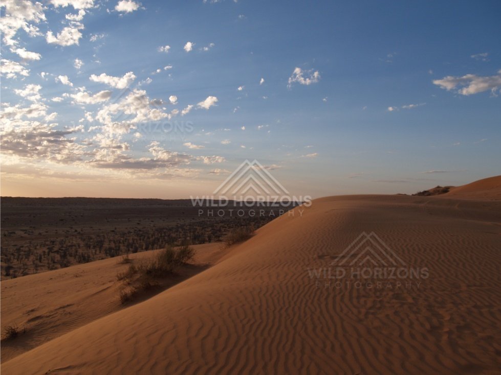 Dune ridge leading into a wide desert plain. Simpson Desert, Australia.