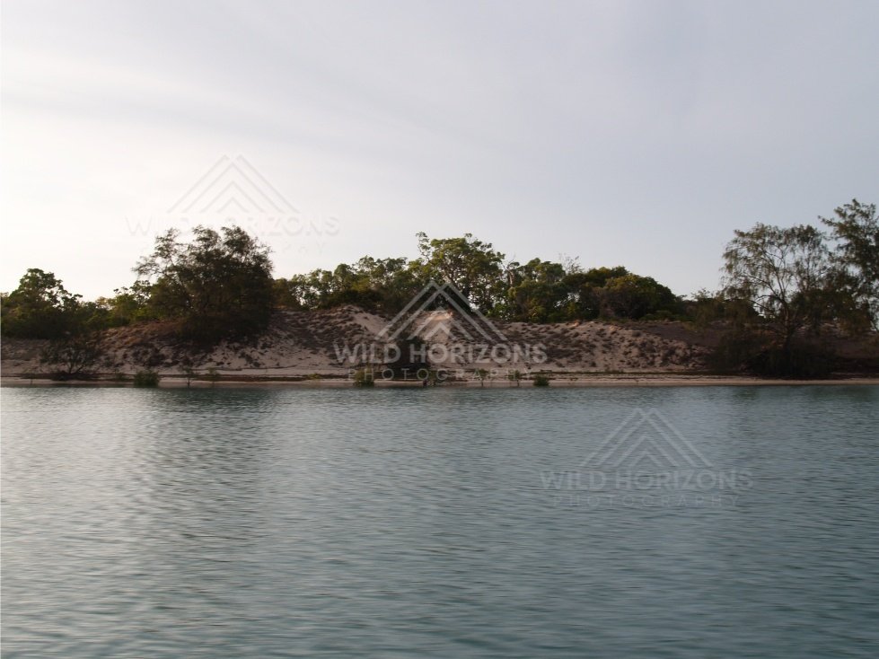Sandy riverbank with shrubs and trees beside calm water. Jardine River, Queensland, Australia.