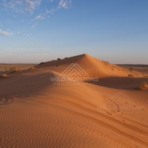Sunlit dune peak rising from the desert plain. Simpson Desert, Australia.
