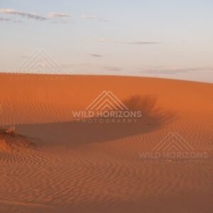 Smooth orange dune face under fading evening light. Simpson Desert, Australia.