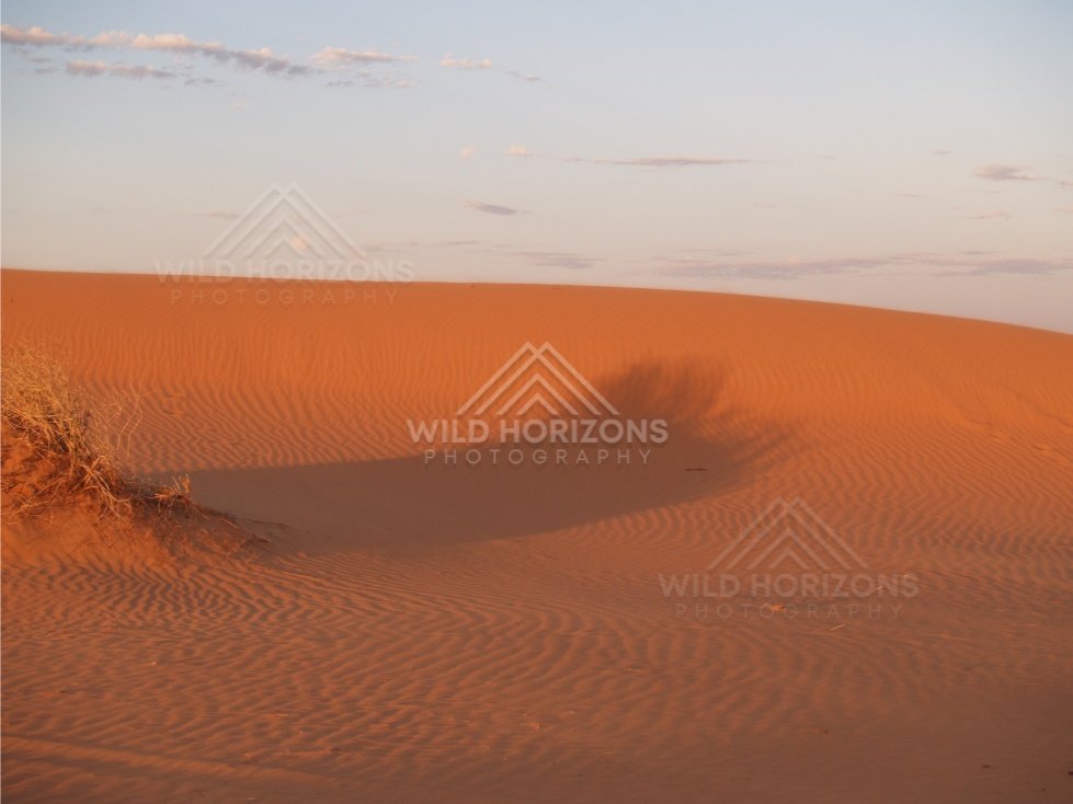 Smooth orange dune face under fading evening light. Simpson Desert, Australia.