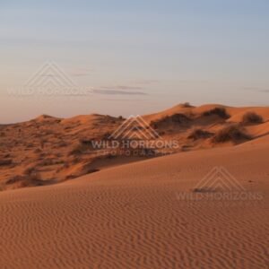 Layered dunes and scattered shrubs beneath a soft sky. Simpson Desert, Australia.