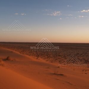 Orange glow along the horizon at sunset. Simpson Desert, Australia.