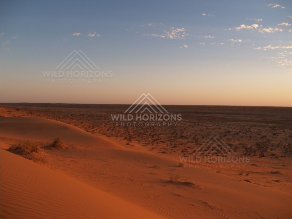 Orange glow along the horizon at sunset. Simpson Desert, Australia.