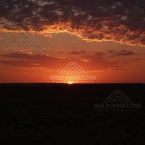 Deep red twilight with scattered clouds over a flat plain. Simpson Desert, Australia.