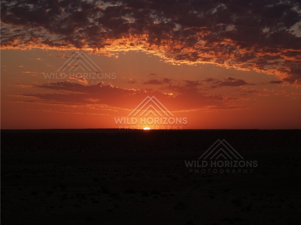 Deep red twilight with scattered clouds over a flat plain. Simpson Desert, Australia.