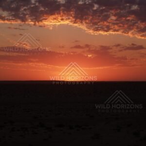 Glowing sunset colours beneath textured cloud cover. Simpson Desert, Australia.