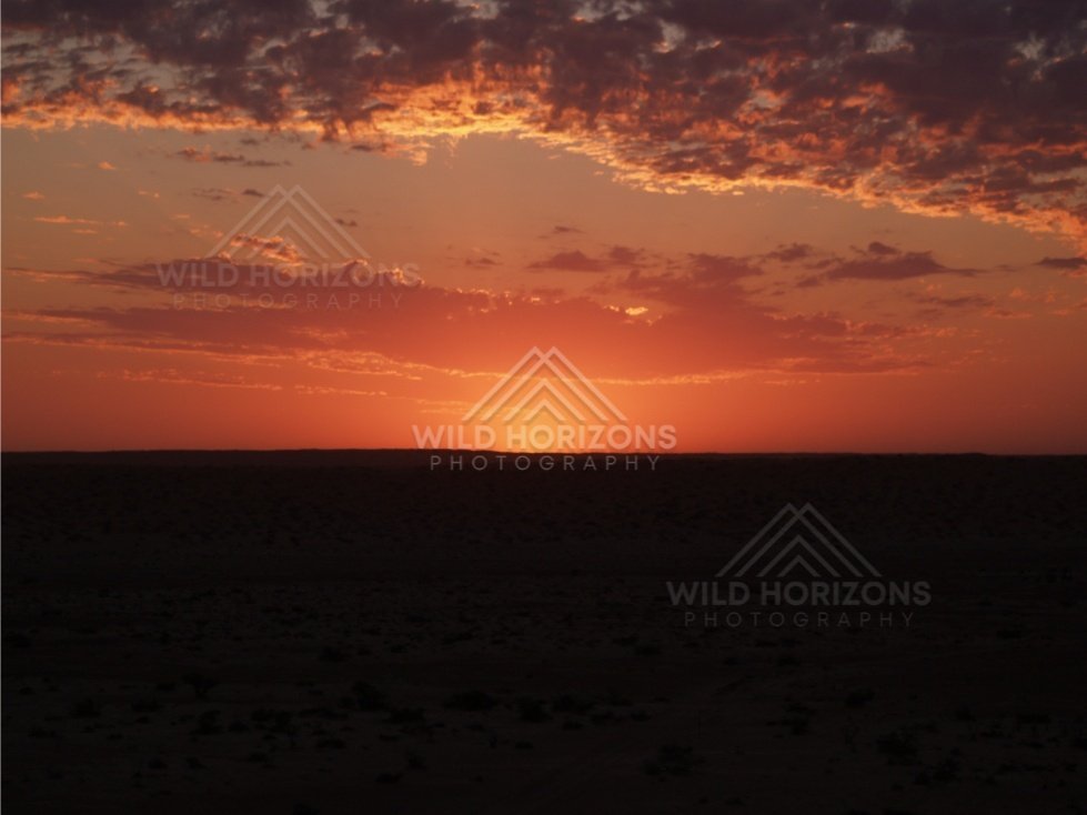 Glowing sunset colours beneath textured cloud cover. Simpson Desert, Australia.