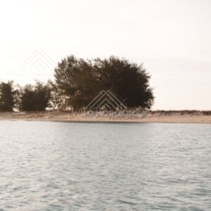 Sandy riverbank with shrubs and trees beside calm water. Jardine River, Queensland, Australia.