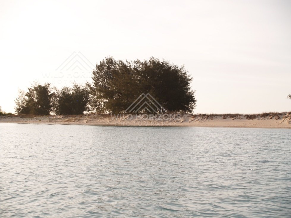 Sandy riverbank with shrubs and trees beside calm water. Jardine River, Queensland, Australia.