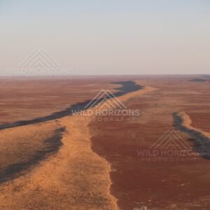 Sinuous channel across gibber plains. Simpson Desert, Australia.