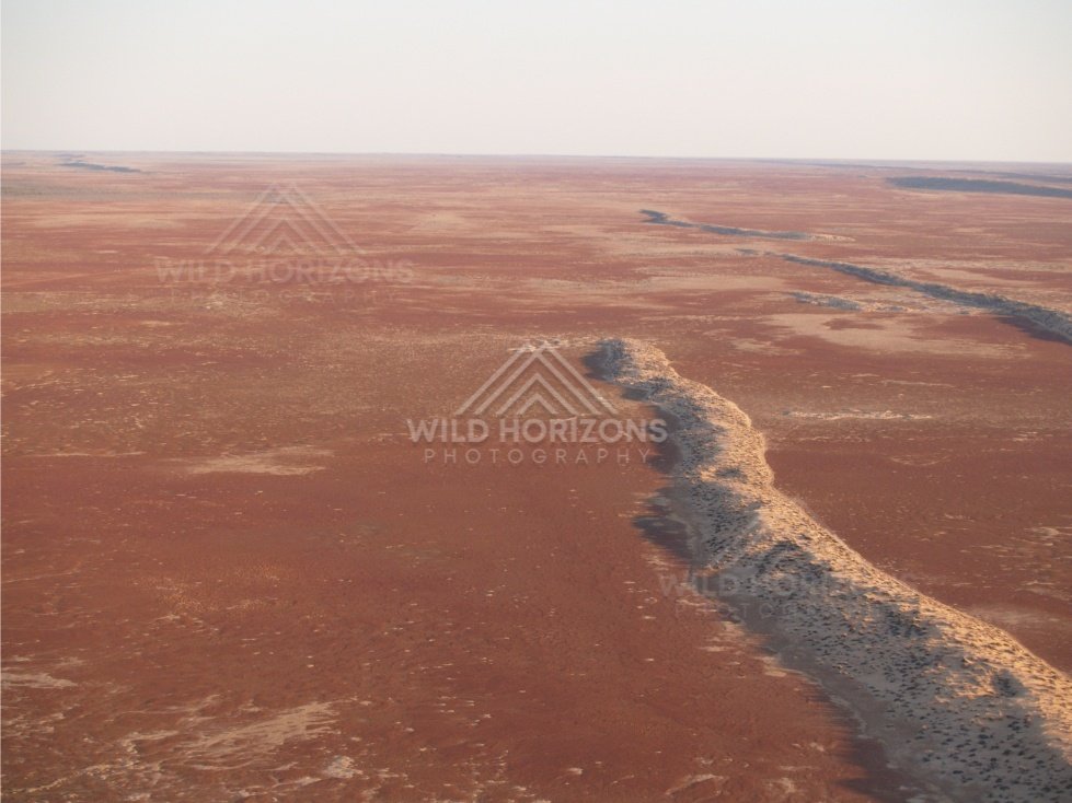 Desert channel cutting through red country. Simpson Desert, Australia.