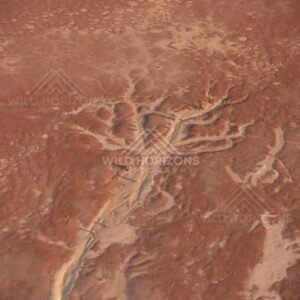 Branching drainage patterns in desert soil. Simpson Desert, Australia.