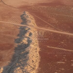Track crossing a raised sand ridge. Simpson Desert, Australia.