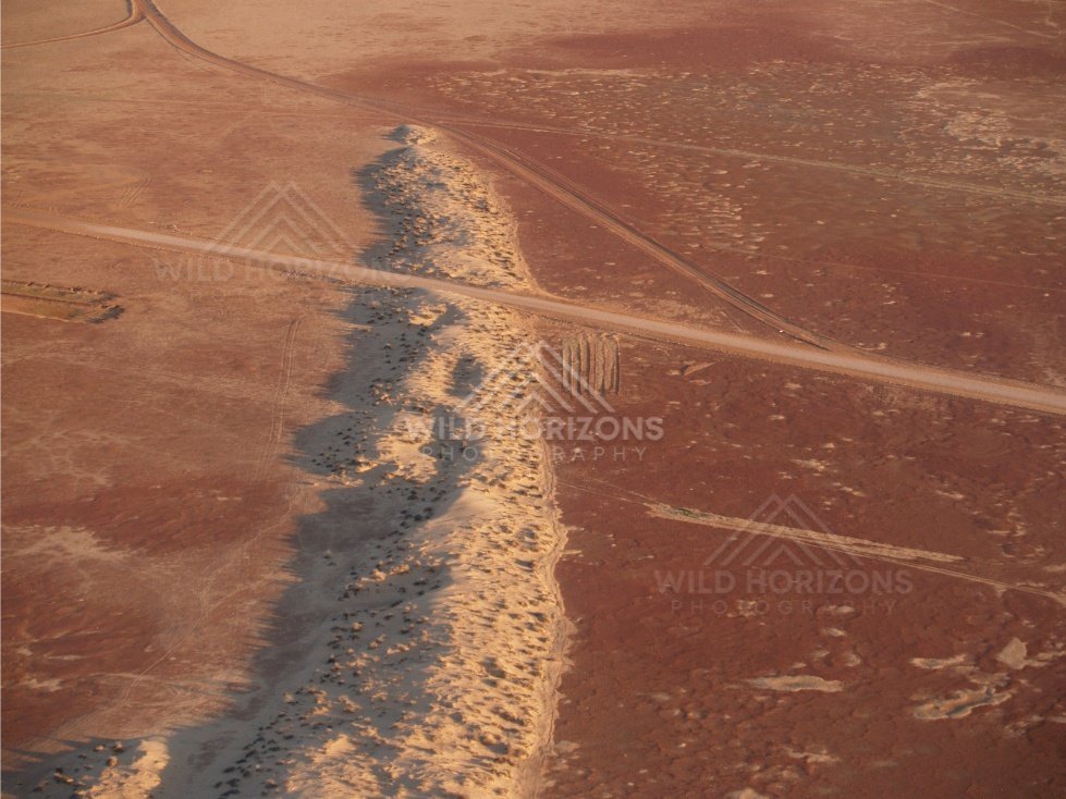 Track crossing a raised sand ridge. Simpson Desert, Australia.