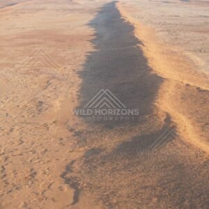 Side-lit dune edge with long shadow. Simpson Desert, Australia.