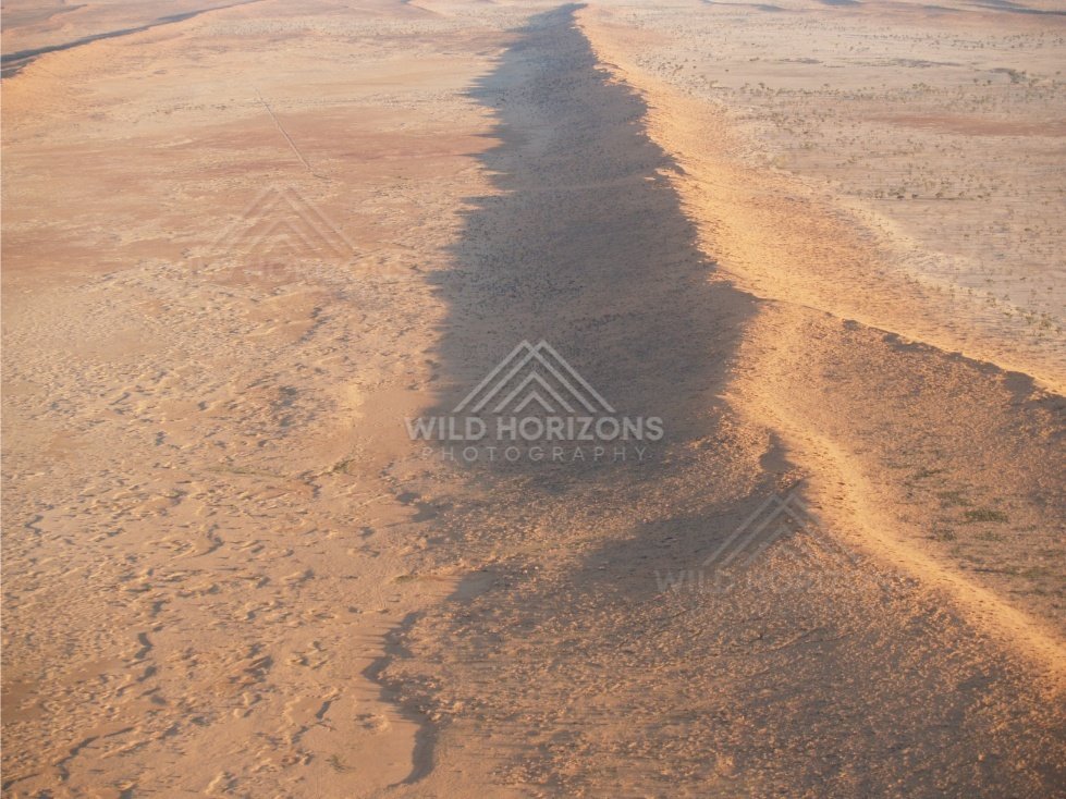 Side-lit dune edge with long shadow. Simpson Desert, Australia.