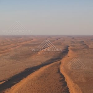 Sand ridge running toward the horizon. Simpson Desert, Australia.