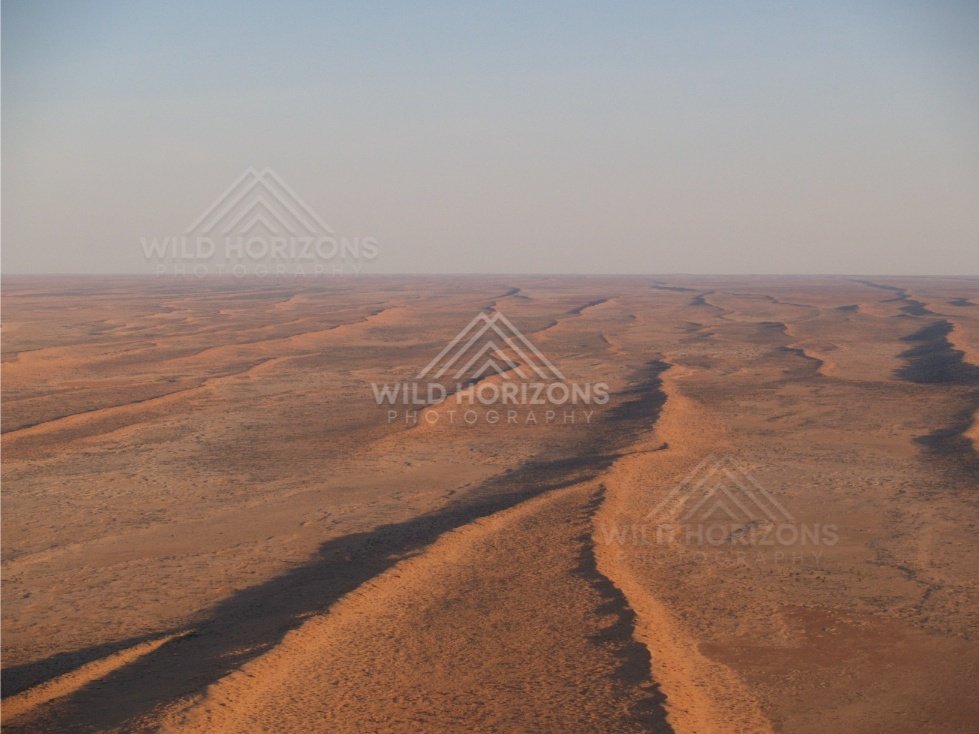 Sand ridge running toward the horizon. Simpson Desert, Australia.