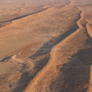 Parallel dune forms with winding track. Simpson Desert, Australia.