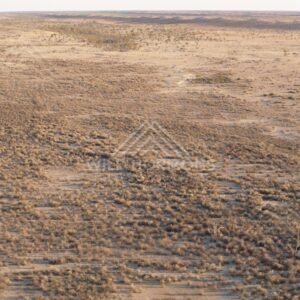 Flat desert plain with distant dunes. Simpson Desert, Australia.