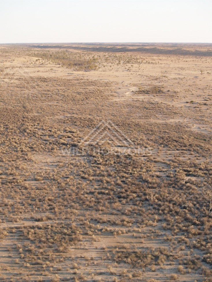 Flat desert plain with distant dunes. Simpson Desert, Australia.