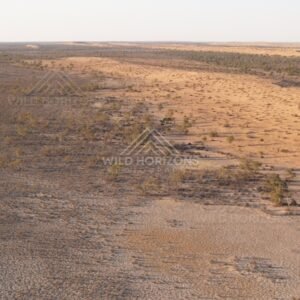 Pale sandy corridor beside gibber plain. Simpson Desert, Australia.