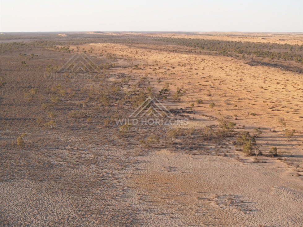 Pale sandy corridor beside gibber plain. Simpson Desert, Australia.