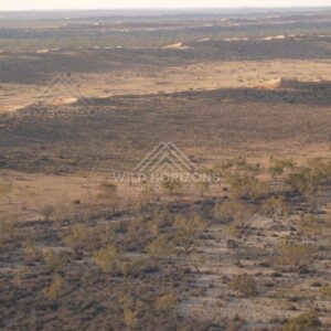 Open plains with low vegetation. Simpson Desert, Australia.