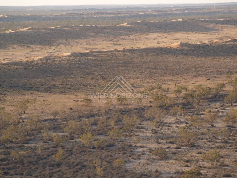 Open plains with low vegetation. Simpson Desert, Australia.