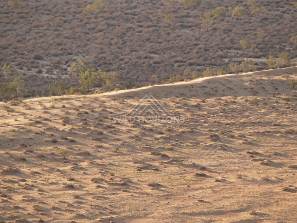 Wind-formed patterns on a low ridge. Simpson Desert, Australia.