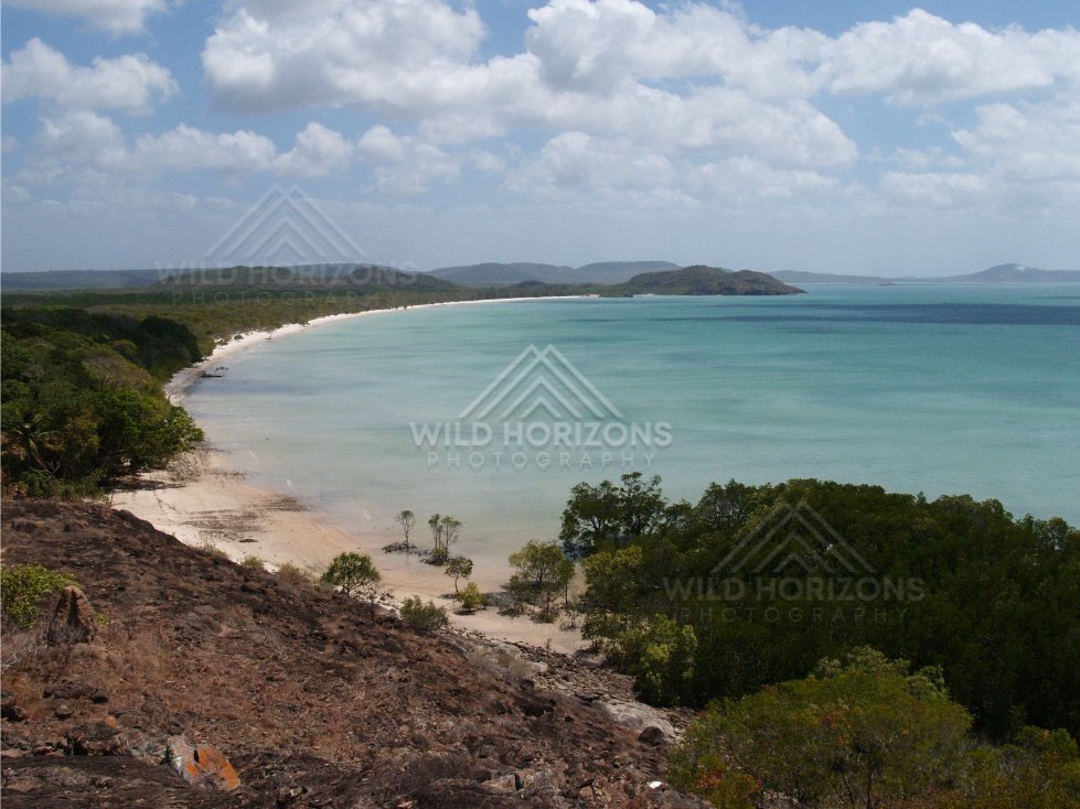 Long Crescent Beach Backed by Dense Coastal Vegetation and Shallow Blue Water. Cape York, Australia.