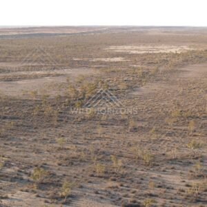 Aerial view across scattered desert shrubs and faint tracks. Simpson Desert, Australia.