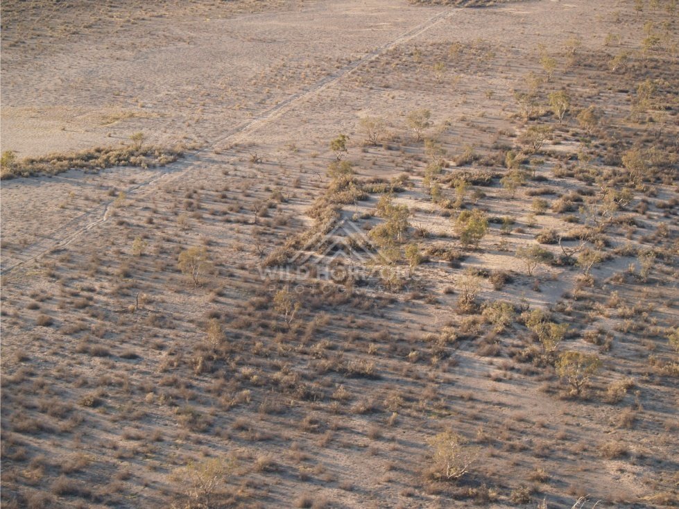 Patterned desert surface seen from the air. Simpson Desert, Australia.