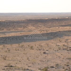 Undulating sand country with distant dunes. Simpson Desert, Australia.
