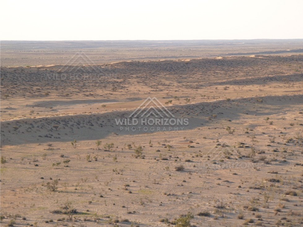 Undulating sand country with distant dunes. Simpson Desert, Australia.