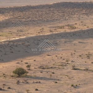 Dune flank and shadowed ridge. Simpson Desert, Australia.
