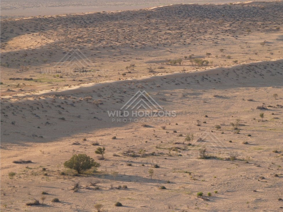 Dune flank and shadowed ridge. Simpson Desert, Australia.