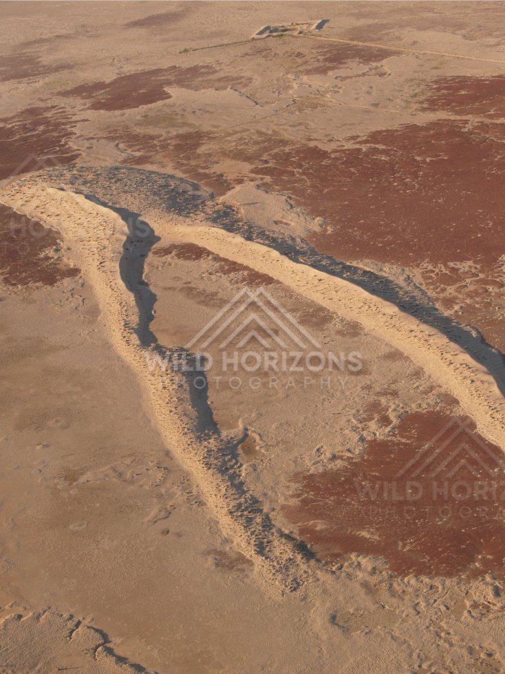 Side-lit rolling sand dunes. Simpson Desert, Australia.