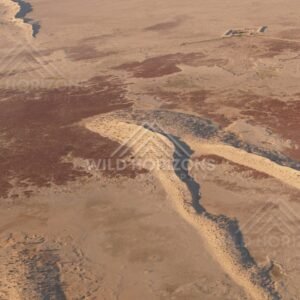 Repeating crescent dune shapes. Simpson Desert, Australia.