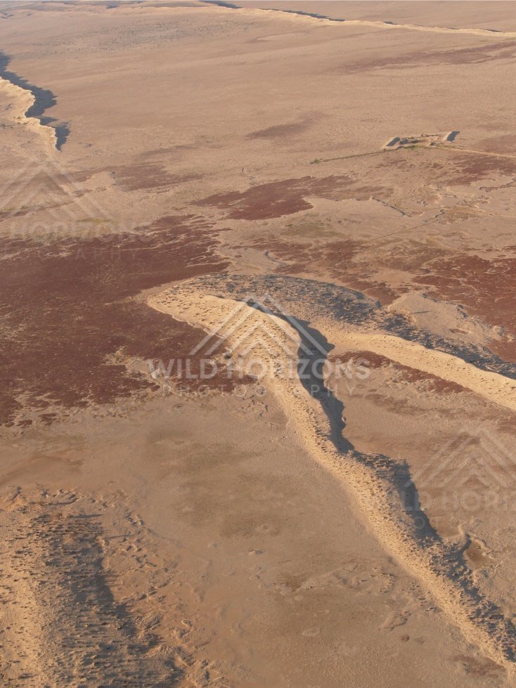 Repeating crescent dune shapes. Simpson Desert, Australia.