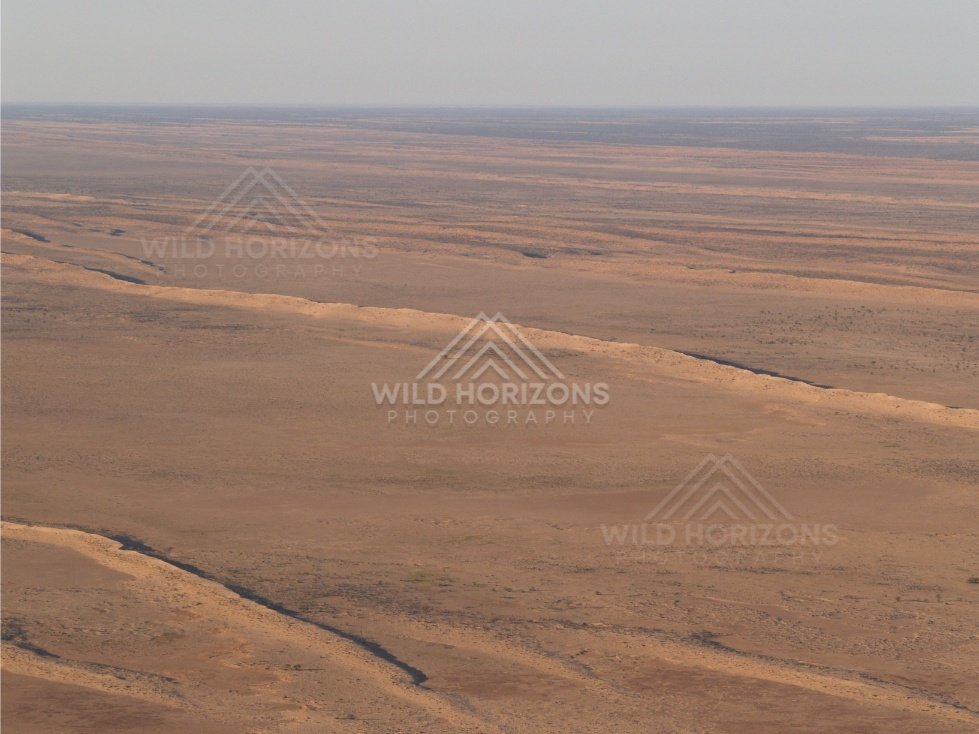 Extensive parallel dune systems. Simpson Desert, Australia.
