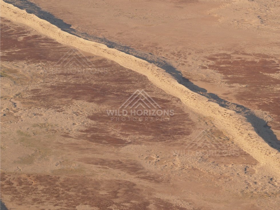 Wind-ripple textures on dune face. Simpson Desert, Australia.